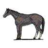 THOROUGHBRED HORSE