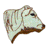 CHAROLAIS