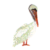 PELICAN