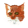 ORANGE TABBY CAT