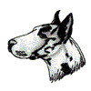 GREAT DANE HEAD