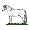 QUARTER HORSE