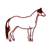 PAINT HORSE