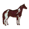 TOBIANO PAINT HORSE 3