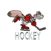 BEAVER HOCKEY