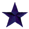 STAR #045