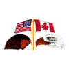 AMERICAN/CANADIAN FLAGS