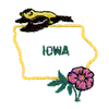 IOWA OUTLINE & BIRD