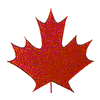 CANADIAN MAPLE LEAF - LARGE