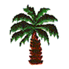 PALM TREE