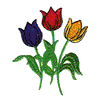 TULIPS