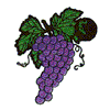 GRAPES