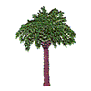 PALM TREE #214