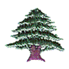 TREE #223