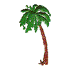 PALM TREE