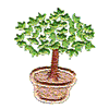 POTTED TREE