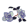 VIOLET ROSES