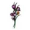 CROCUS BOUQUET