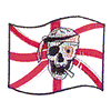 SKULL IN FLAG