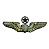 MILITARY WINGS