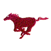 BRONCO