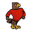 EAGLE WEARING SWEATER