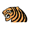 TIGER HEAD PROFILE