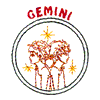 GEMINI