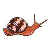 SNAIL