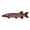 MUSKELLUNGE