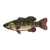 REDEYE BASS