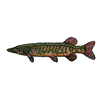 REDFIN PICKEREL