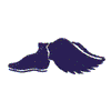 TRACK SHOE W/WINGS