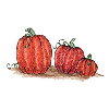 PUMPKINS