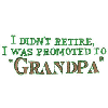 I DIDNT RETIRE I WAS PROMOTED...