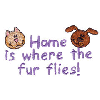 HOME IS WHERE THE FUR LIES!