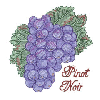 PINOT NOIR