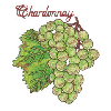 CHARDONNAY