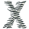 ZEBRA ALPHABET X