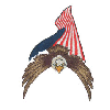 EAGLE W/FLAG