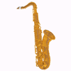 SAXOPHONE