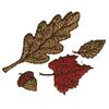 FALL LEAVES