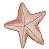 STARFISH