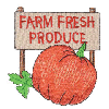 FARM FRESH PRODUCE