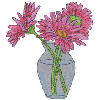 GERBER DAISIES