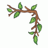 BRANCH