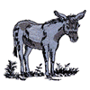 DONKEY