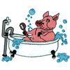 BATHING PIG