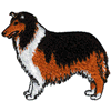 COLLIE