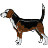 BEAGLE